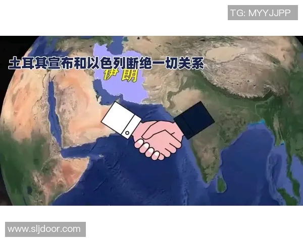 土耳其与伊朗友谊赛因特殊原因取消球迷期待未来对决